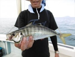 ハピネスⅡ 釣果