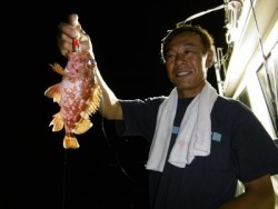 ハピネスⅡ 釣果