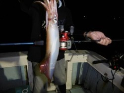 ハピネスⅡ 釣果