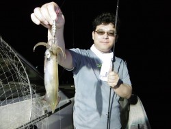 ハピネスⅡ 釣果