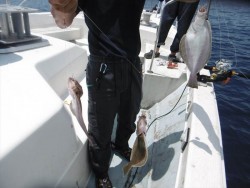 ハピネスⅡ 釣果 投稿