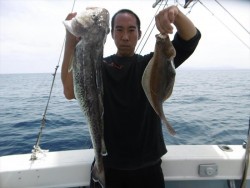 ハピネスⅡ 釣果 投稿