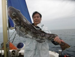 ハピネスⅡ 釣果 投稿