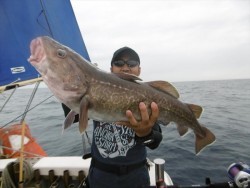 ハピネスⅡ 釣果 投稿