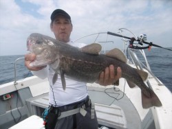 ハピネスⅡ 釣果