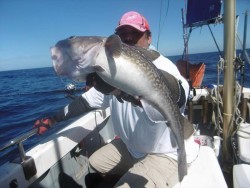 ハピネスⅡ 釣果