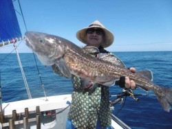 ハピネスⅡ 釣果