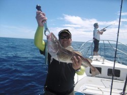 ハピネスⅡ 釣果