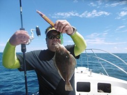 ハピネスⅡ 釣果