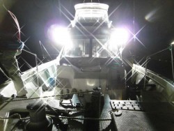 ハピネスⅡ 釣果