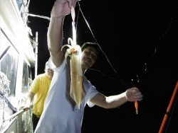 ハピネスⅡ 釣果