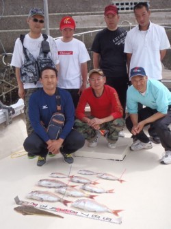 城丸 釣果 投稿