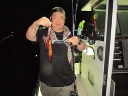 ジギング船 BLUEWATER 釣果 投稿