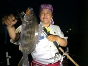 シーマジカル 釣果