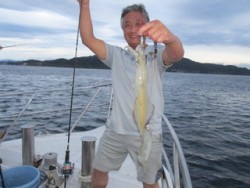 ジギング船 BLUEWATER 釣果 投稿