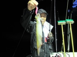 ジギング船 BLUEWATER 釣果