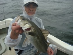 誠丸 釣果 投稿