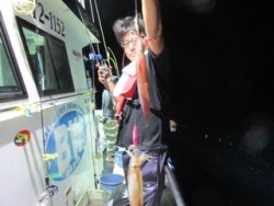 ジギング船 BLUEWATER 釣果 投稿