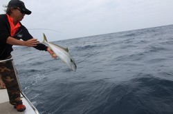 IZANAGI　イザナギ 釣果