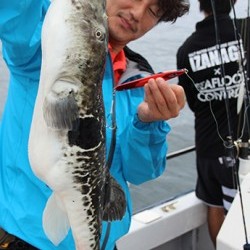 IZANAGI　イザナギ 釣果