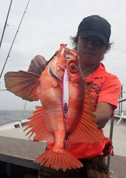 IZANAGI　イザナギ 釣果