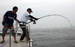 IZANAGI　イザナギ 釣果