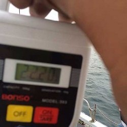 IZANAGI　イザナギ 釣果