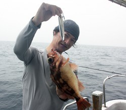 IZANAGI　イザナギ 釣果