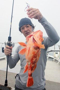 IZANAGI　イザナギ 釣果