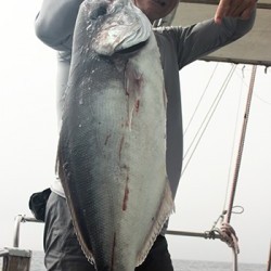 IZANAGI　イザナギ 釣果