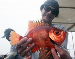 IZANAGI　イザナギ 釣果