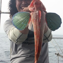 IZANAGI　イザナギ 釣果