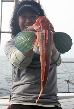 IZANAGI　イザナギ 釣果