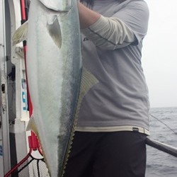 IZANAGI　イザナギ 釣果