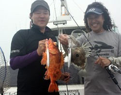 IZANAGI　イザナギ 釣果