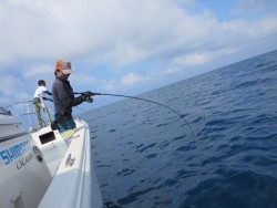 North Point 釣果 投稿