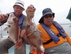 釣り船 つるぎ 週間釣果 投稿