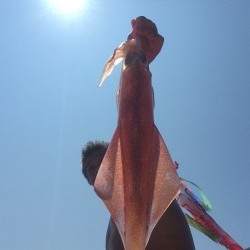 日中に狙う？ディライトタイムのイカメタル【ふじ氏連載記事No.03】