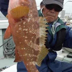 藤義丸 釣果 投稿