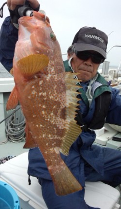 藤義丸 釣果 投稿