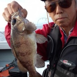 藤義丸 釣果 投稿