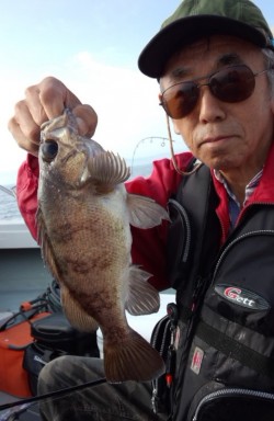 藤義丸 釣果 投稿