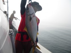 ふじしめ丸 釣果