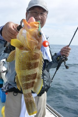 宝生丸 釣果