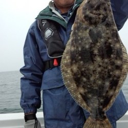 藤義丸 釣果 投稿