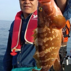 藤義丸 釣果 投稿