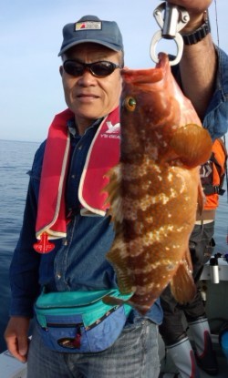 藤義丸 釣果 投稿