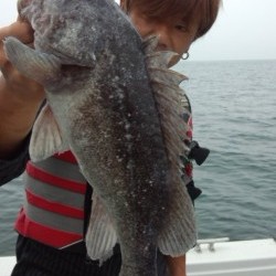 藤義丸 釣果 投稿