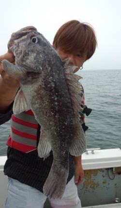 藤義丸 釣果 投稿