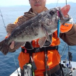 藤義丸 釣果 投稿